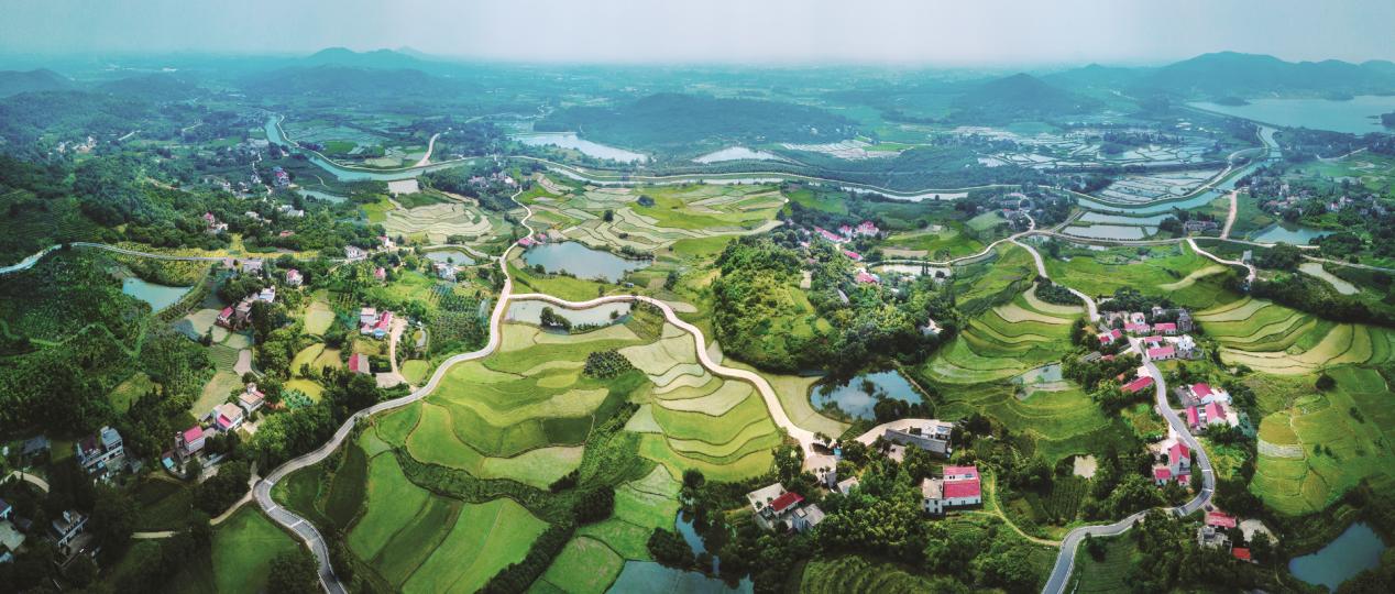 輻射村莊的合肥市農(nóng)村公路網(wǎng)。合肥市交通運(yùn)輸局供圖