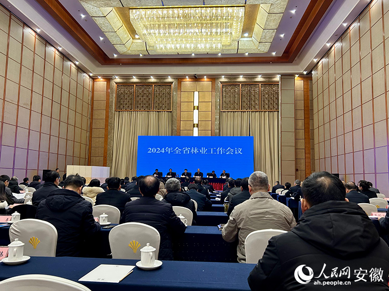 會議現(xiàn)場。人民網記者 高飛躍攝