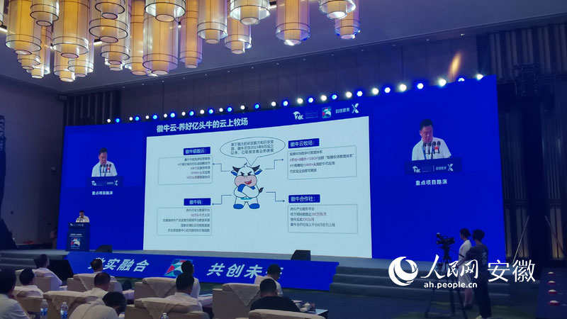 重點項目進行路演。人民網(wǎng) 胡雨松攝