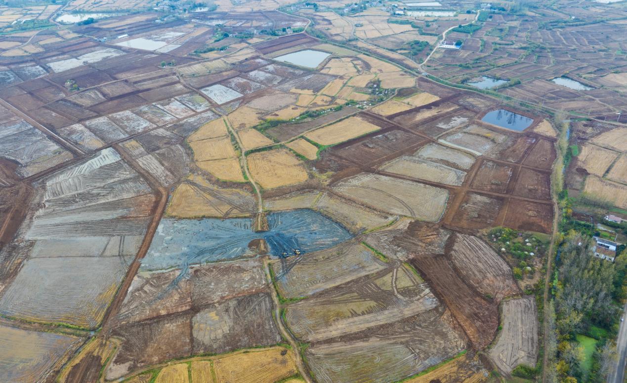 俯瞰棗林村正在建設(shè)的高標(biāo)準(zhǔn)農(nóng)田。徐艷攝