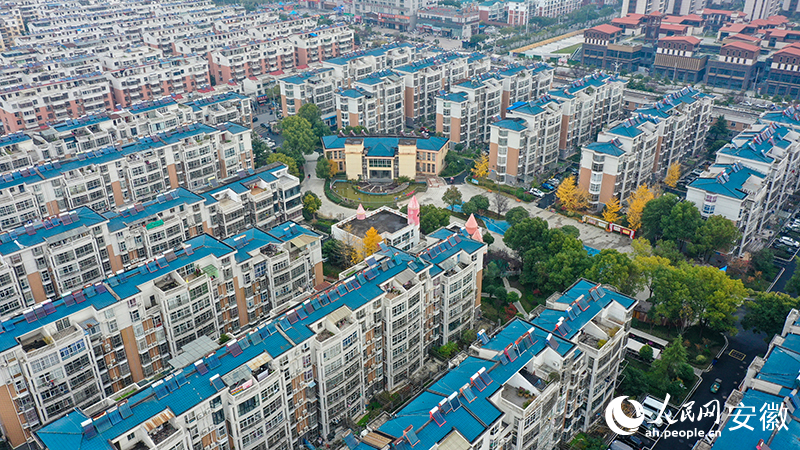 幾株銀杏為小區(qū)平添了幾分初冬韻味和雅致。人民網(wǎng)記者 張俊攝