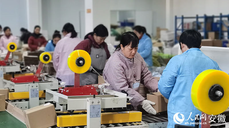 在安徽優(yōu)活食養(yǎng)大健康產(chǎn)業(yè)發(fā)展有限公司，包裝工人正在迅速打包發(fā)貨。人民網(wǎng) 胡雨松攝.jpg