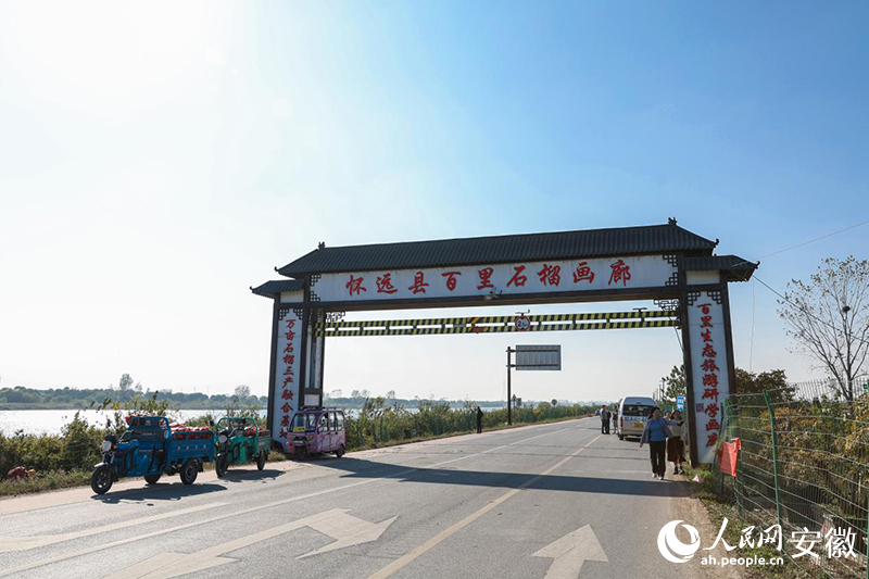 懷遠縣百里石榴畫廊起點。人民網記者 張俊攝