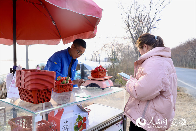 前來(lái)購(gòu)買草莓的顧客絡(luò)繹不絕。人民網(wǎng)記者 陶濤攝