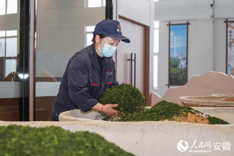 六安瓜片傳統(tǒng)技藝中，溫度與火候的把控，全憑老師傅的經(jīng)驗與手感。人民網(wǎng)記者 陳若天攝