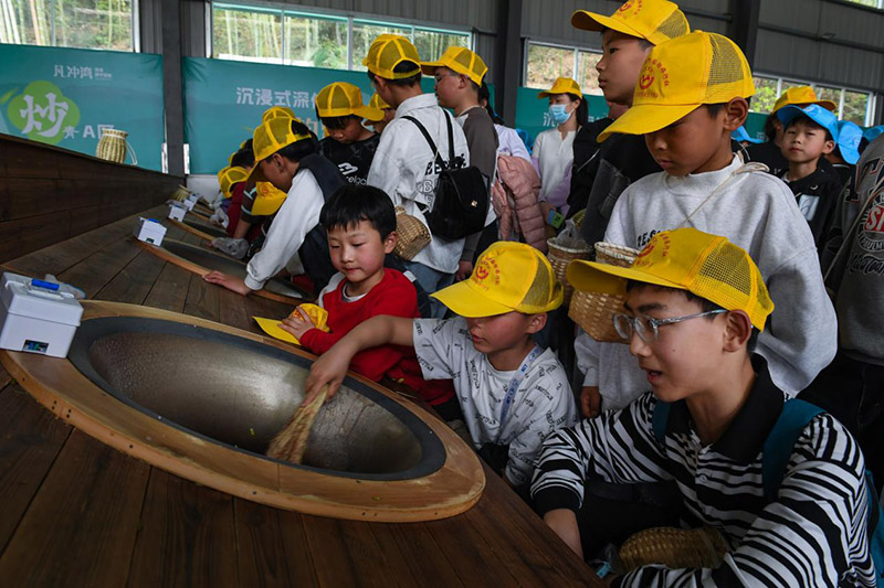 在霍山縣凡沖茶海，孩子們在這里體驗炒茶技藝。吳芳攝